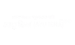 Ayu Hina Shop